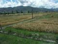 tibet 2007
