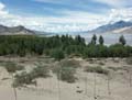 tibet 2007