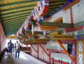 tibet 2007