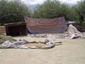 tibet 2007
