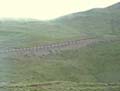 tibet 2007