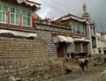 tibet 2007