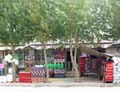 tibet 2007