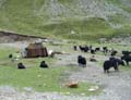 tibet 2007