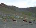 tibet 2007