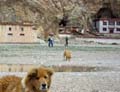 tibet 2007