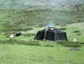 tibet 2007