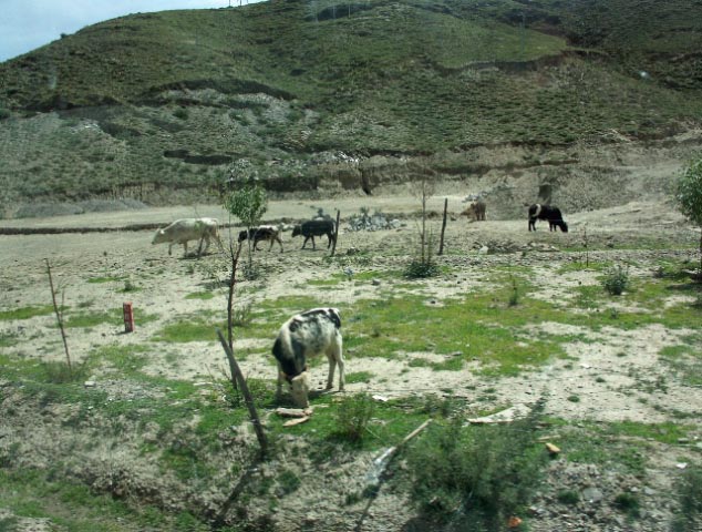 tibet 2007