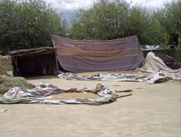 tibet 2007