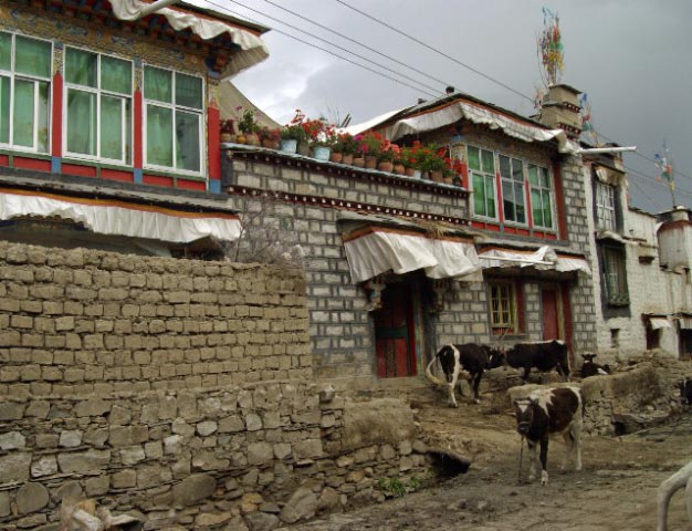 tibet 2007
