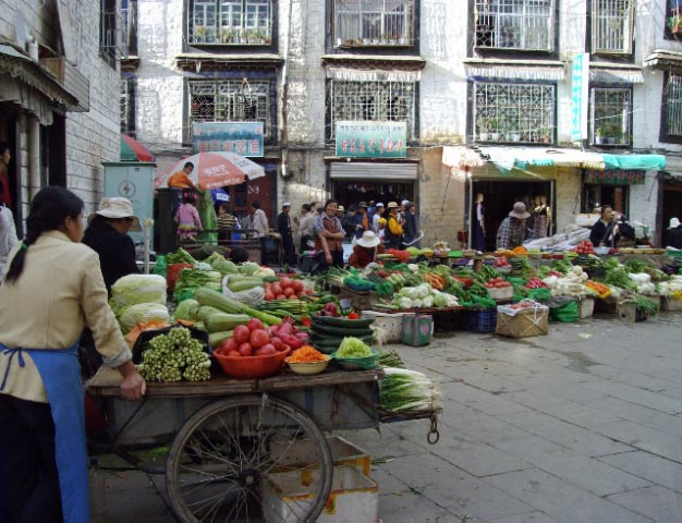 tibet 2007