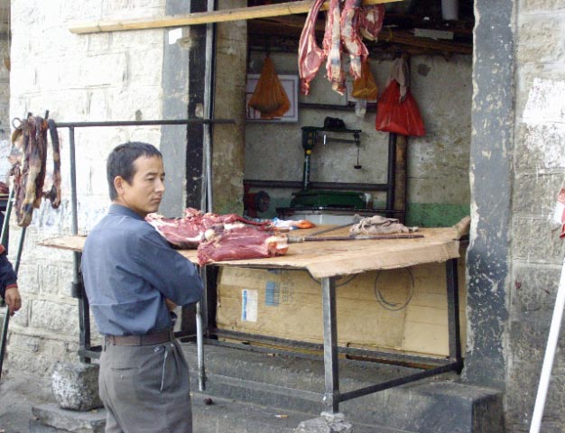 tibet 2007