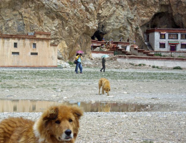 tibet 2007